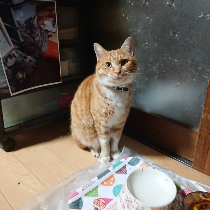 F08309e6 7445 4a0a b096 e4cf521526c3 1607123143093