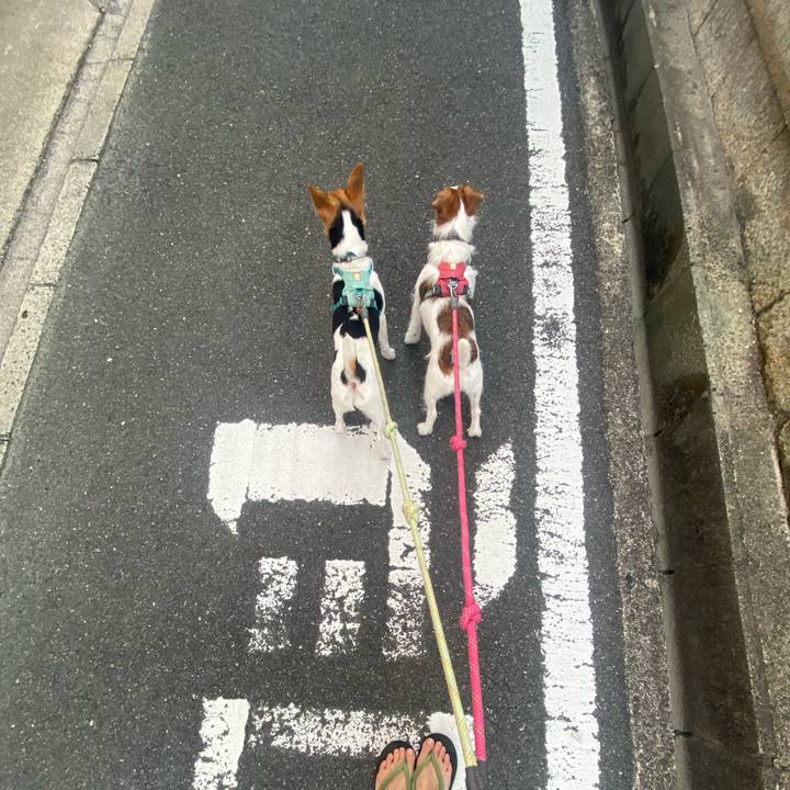 F0833dc0 900b 4f51 9b4a be684c690385 1755730392580