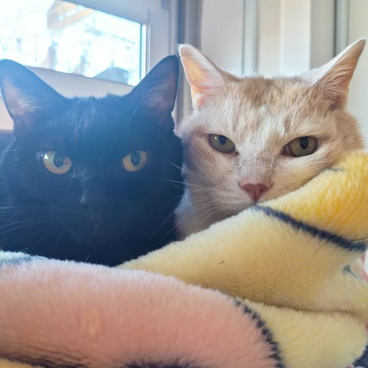 F083503a bcac 4e1b 97e9 e83f45247bf9 1697343922205