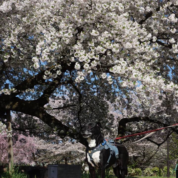 F08390af 179b 4879 b5e4 988ecd57c2f4 1712709803312