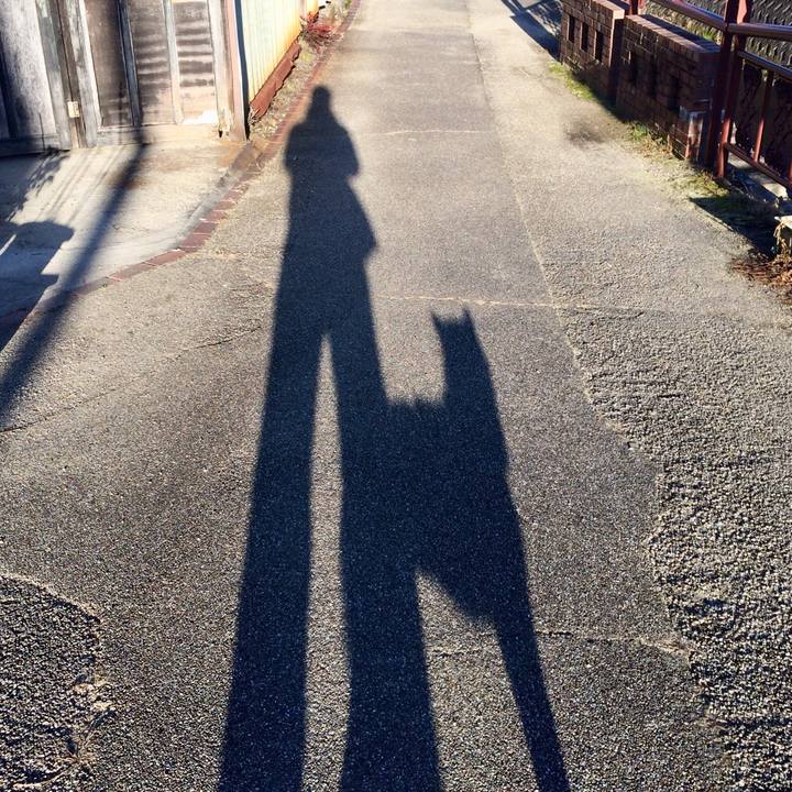 F083945d 9004 4dcc a050 ce99c98dbb84 1514801679856