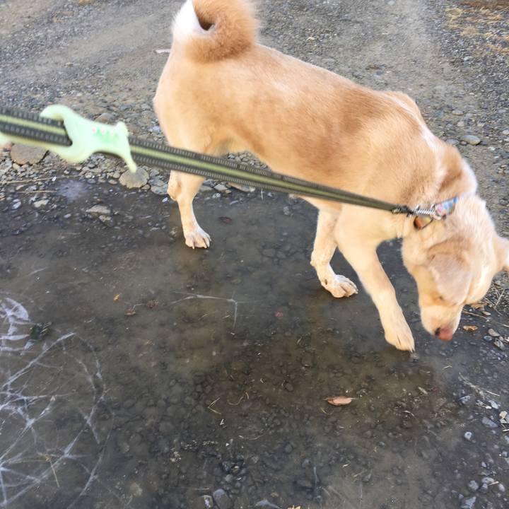 F083d684 3b03 499e 95aa 66c7d5d104e4 1516836166319