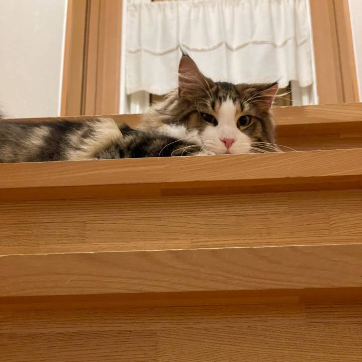 F083e01e 0546 4cc9 b457 e98652f984f2 1640682814552