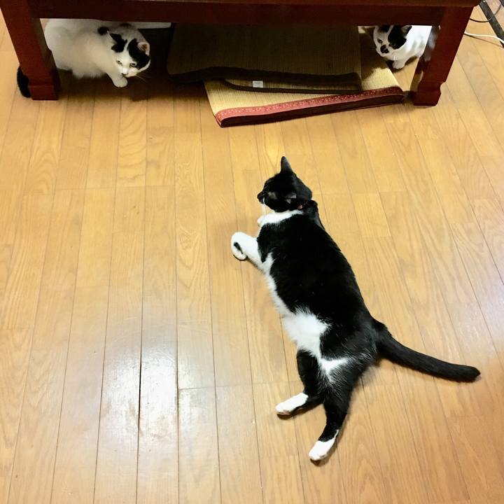 F083f357 3f63 4f9e bfcc e5314cf3c6c5 1526511040575