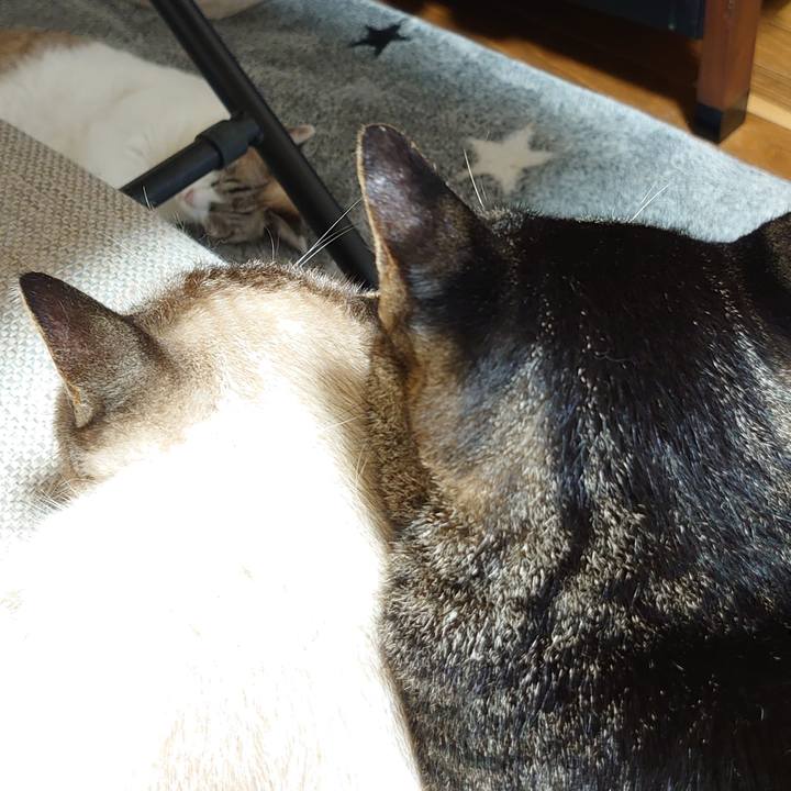 F083f909 1df3 4e62 a7b5 61e143845250 1631360421234