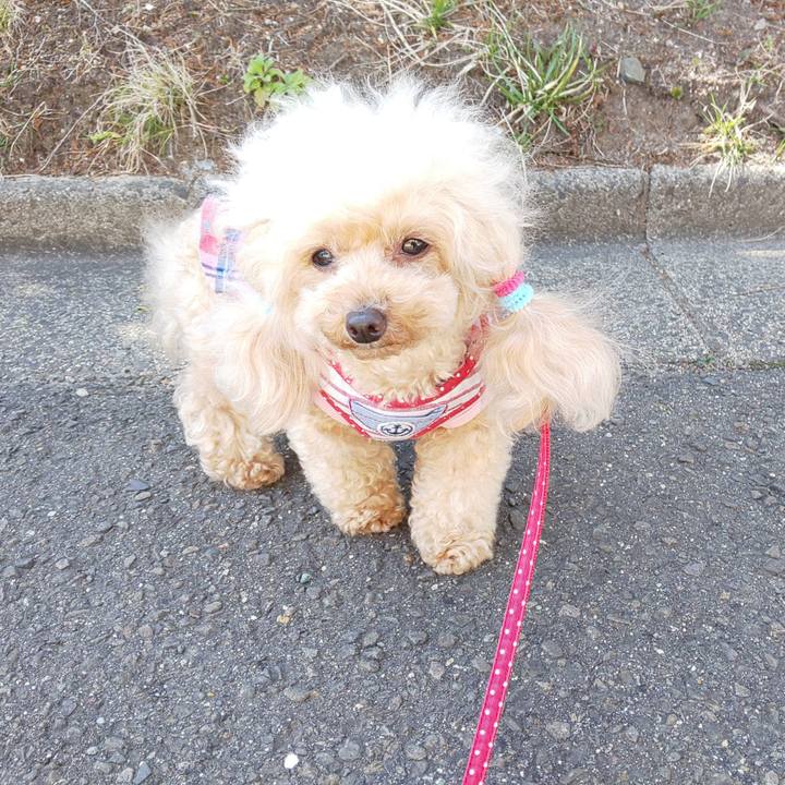 F0844b34 54c3 4a63 aeaa 156641bc85e2 1586262933315