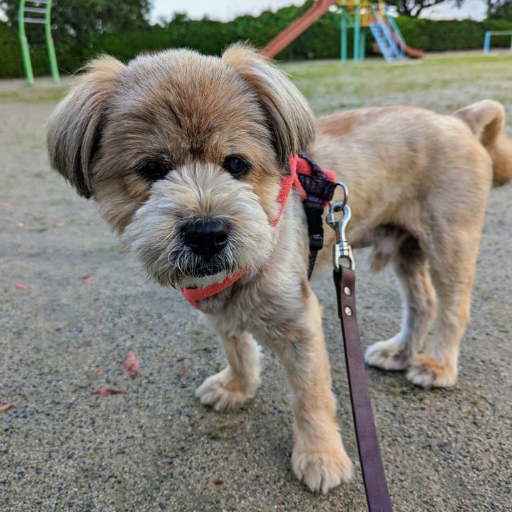 F084c157 dfe1 4900 8e1c f4e73f270298 1685718104192