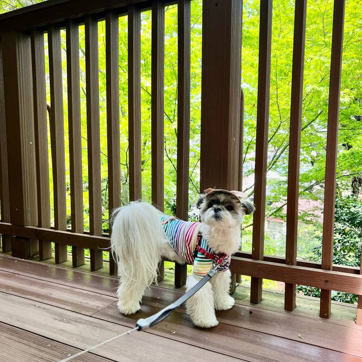 F084cef1 4df2 4ef8 80fa 8a4ce68e1c06 1650347534339