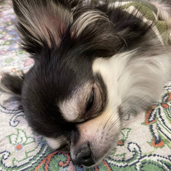 F084eeb0 a920 4670 b6f7 f60162384f80 1651838004123