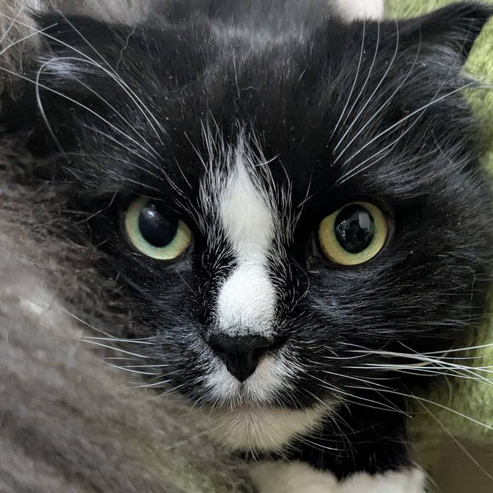 F084f51a 07af 4e87 8cba c7bcf945c88f 1774009906447