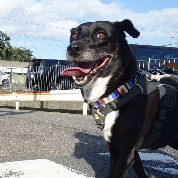 F084f526 5586 4255 9c5d 0f285f5f0ccf 1664587438135