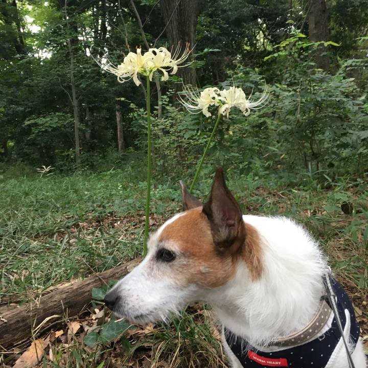 F0850c99 f3f3 4faf bcd0 6fb376986051 1600733981910