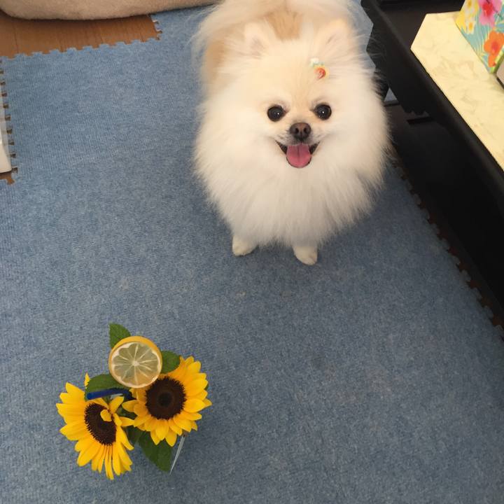 F0852296 6b95 4b2a 9cb9 009eeab7d959 1563510667194