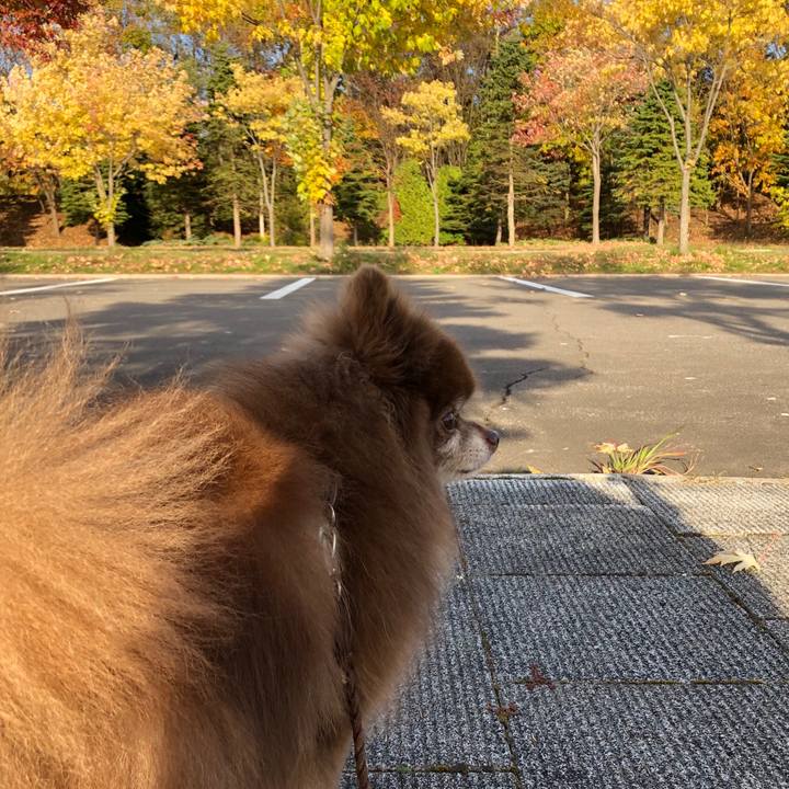 F0854d58 9df5 416e 8ae7 fd1893216b00 1635142267969