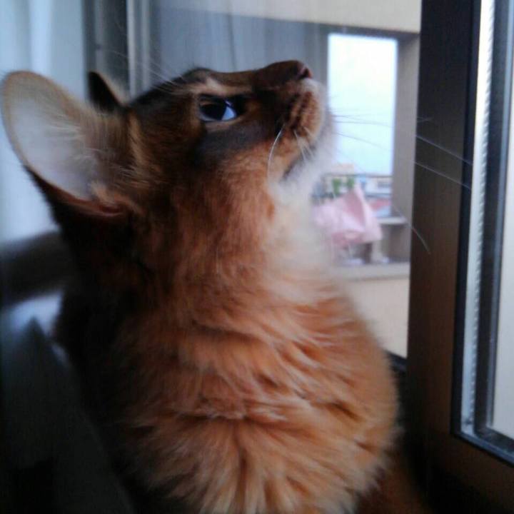 F0856e32 d161 41fc be5d f66186d92826 1588117562924