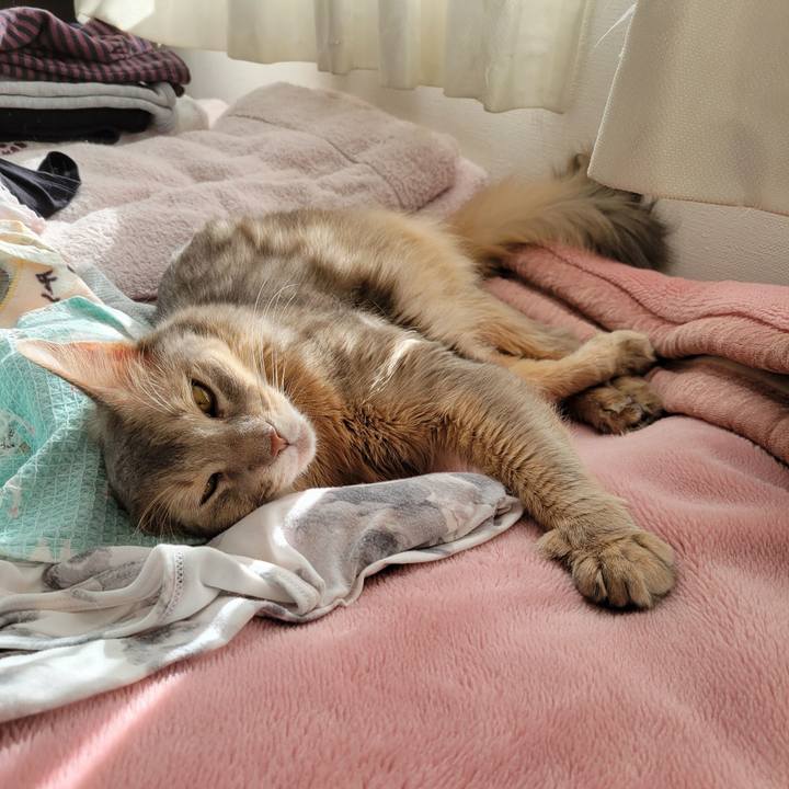 F0856f41 b4c1 483d a95a 3836e1b1c03e 1640571986214