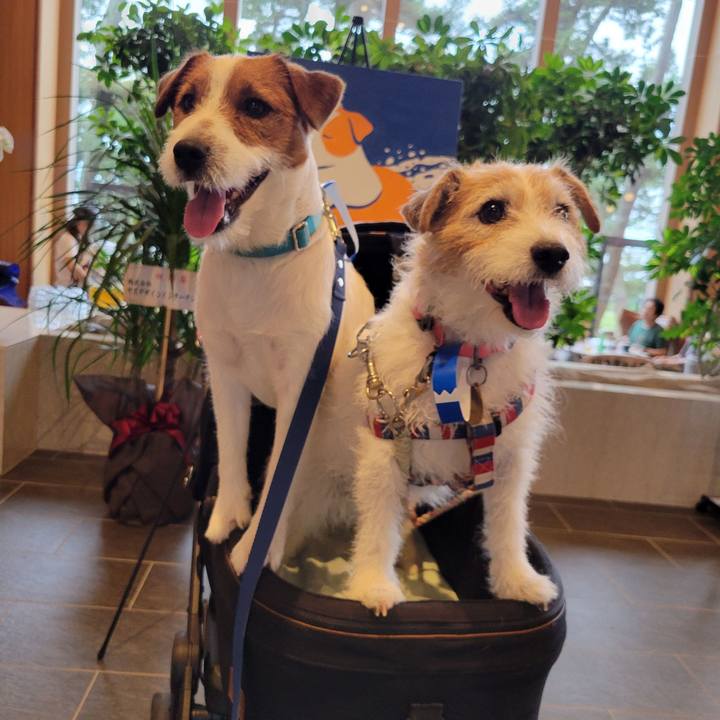 F085b275 e903 4c11 8d68 861db6fad4b0 1749901966450