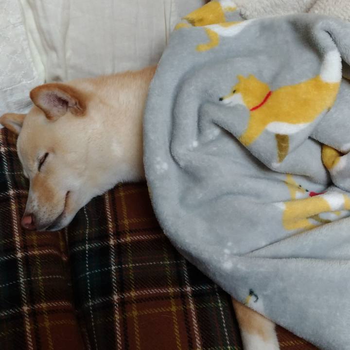 F085ba7a 99a9 4a00 94a4 c8042304da62 1515587990417