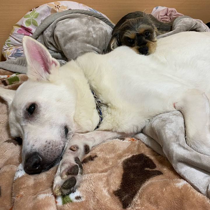 F085c006 f8d8 41cf 81f4 a894b1de78cb 1579216471946