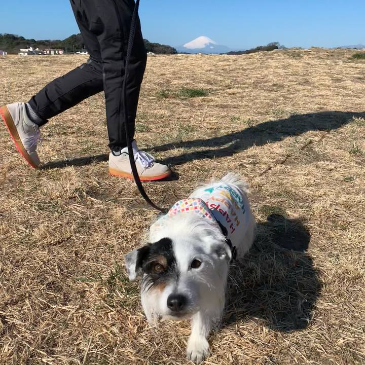 F085cb08 893b 4c14 8621 4072281b6802 1707785591706