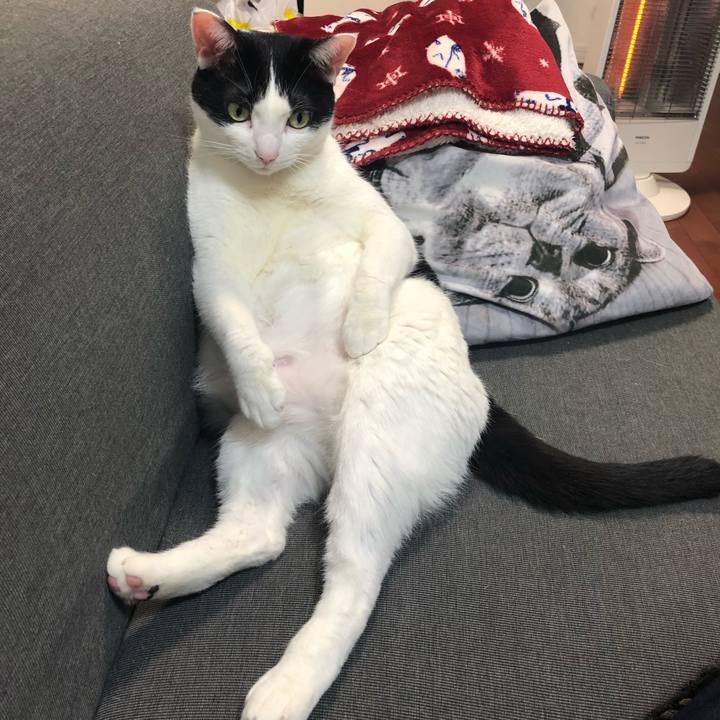 F0861163 a7d0 4466 9217 669eac709713 1543321147327