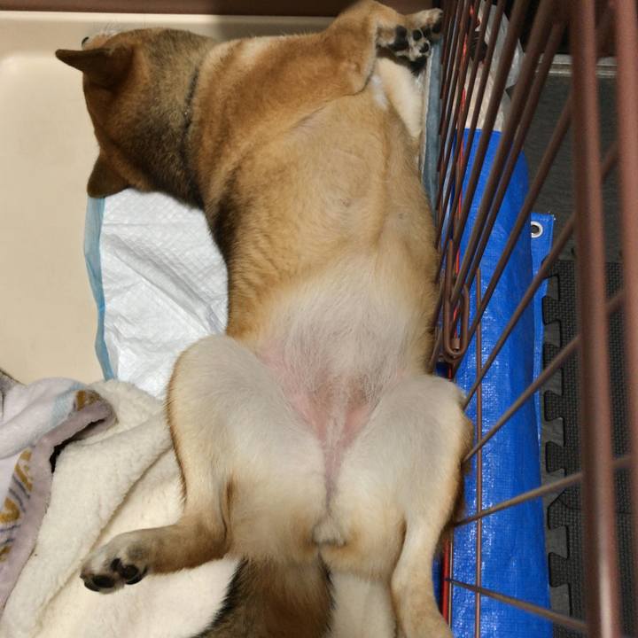 F0862fec 16c3 4bf3 b55b 0c672ed7e430 1541455474987