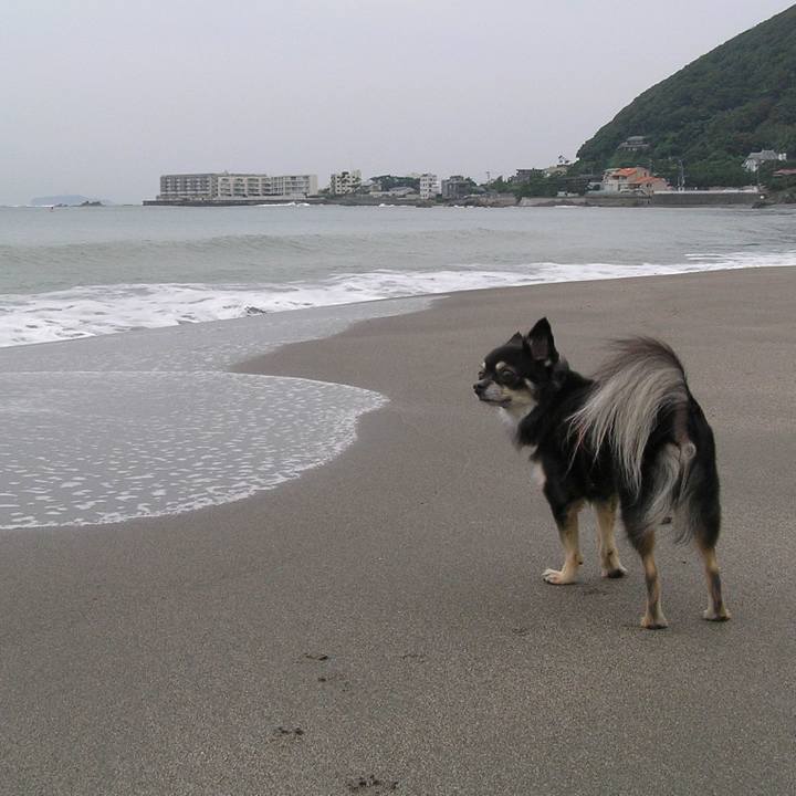 F08650bc 9f4d 4bb1 882e b0bd6b22e875 1566433876252