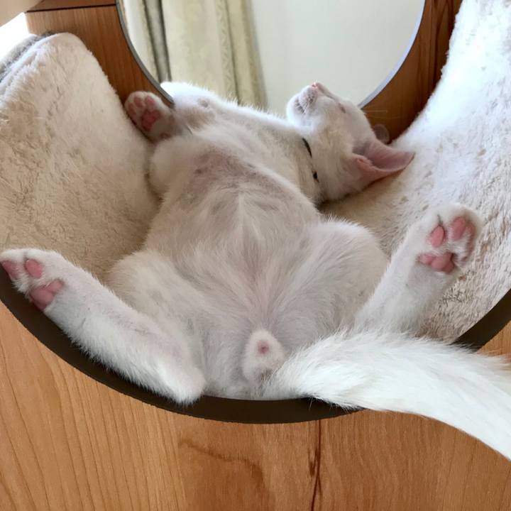 F0868ef8 012d 48b9 831f fac02682b984 1568603182113