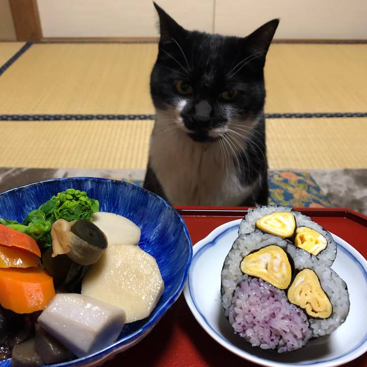 F0869c74 2cdb 43f8 91d0 c526e294e4de 1549186835505