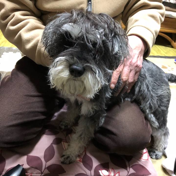 F086b1b5 031e 49aa 8a28 290c67765fbf 1521196040144