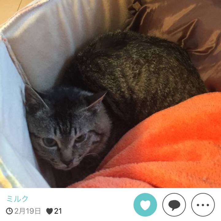 F086d60c 71ca 416d bfbc fc66d28498ab 1511689983637