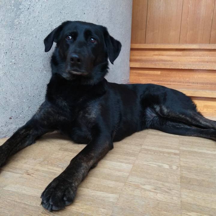 F086dd7d d66b 42f5 b653 7dafce87403c 1588492364097