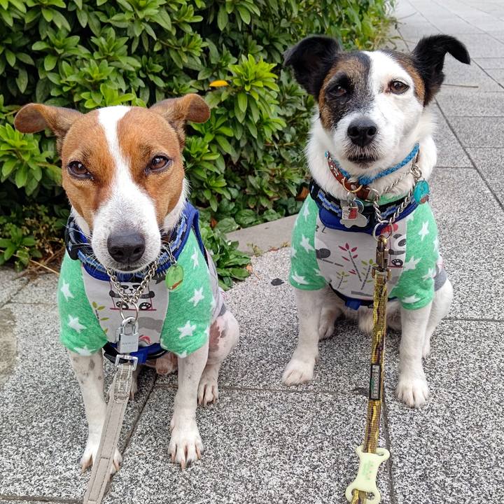 F086f724 0b73 493d 9a5c 7c59650f28f5 1634014110724