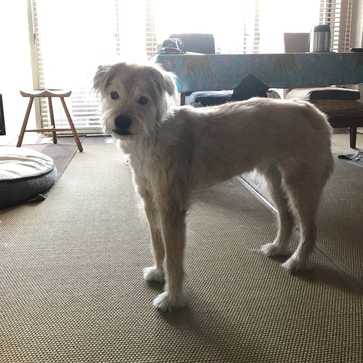 F0871425 8a6f 419b a01f f5c0b903a732 1591512164791