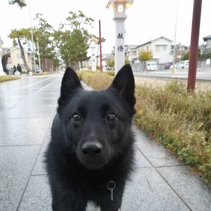 F0873c31 56df 44e6 b74e 6442ce89f3b8 1638827761364