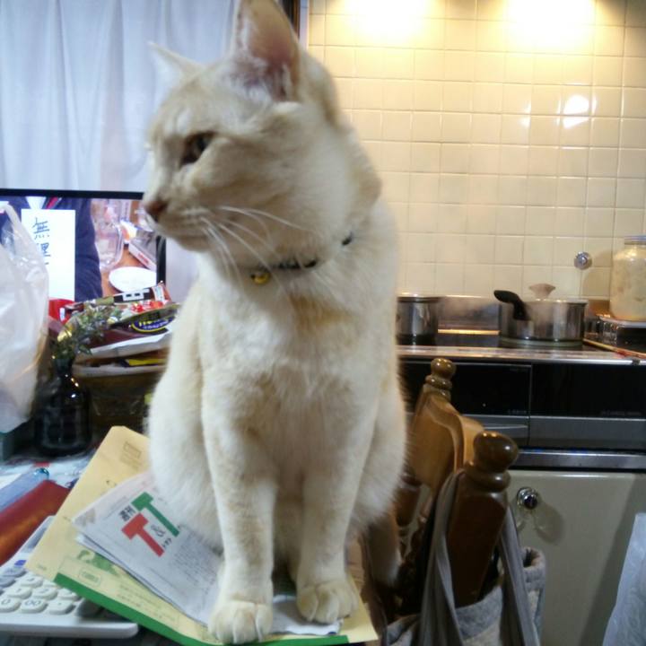 F0876a62 0381 4657 b4e0 a47471eda5cb 1521968615057