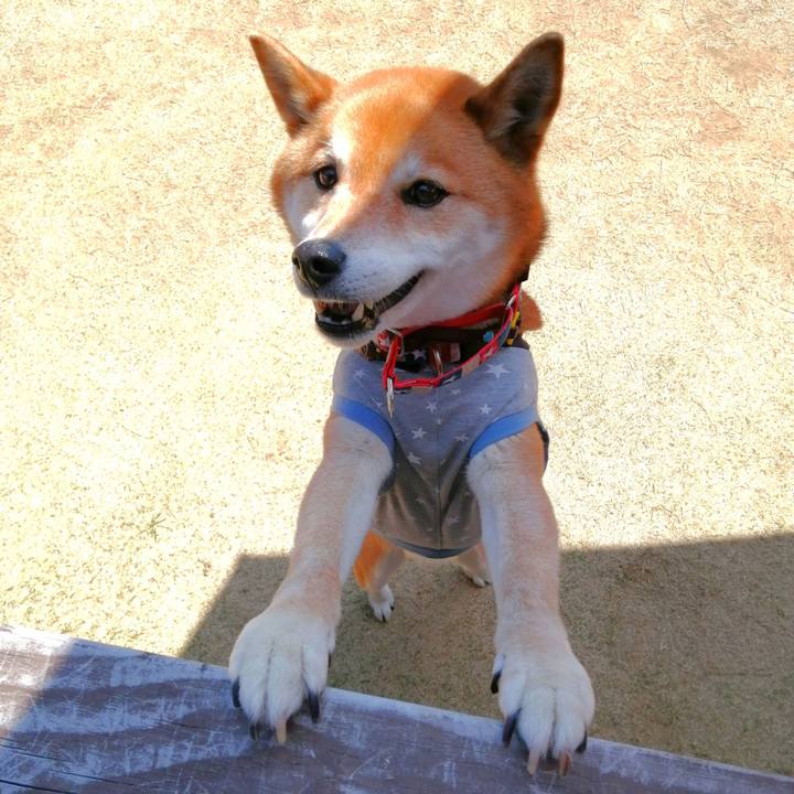 F087819c 5577 46f0 a916 8fa27d79e401 1649411178189