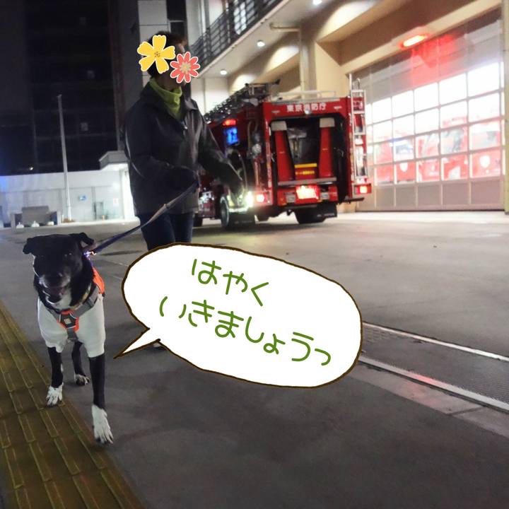 F087a1c1 51e9 496c 8680 0c5a2f56356a 1706008527913