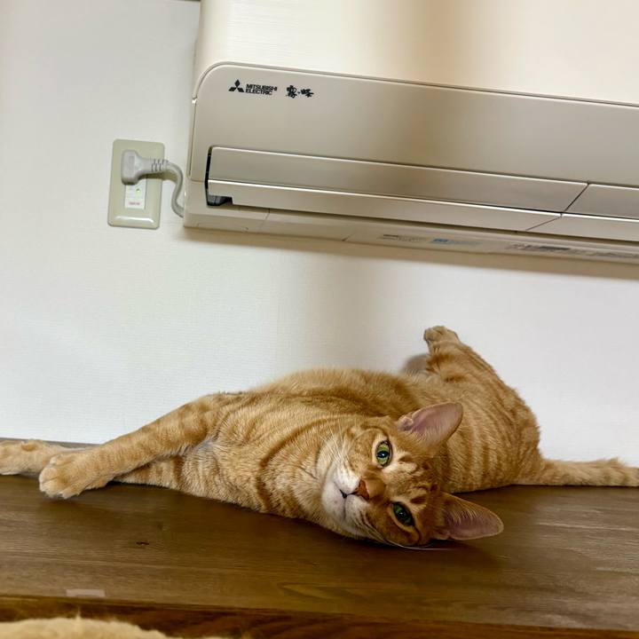 F087aee3 24d7 485b b268 003ecd0f001a 1766668432804