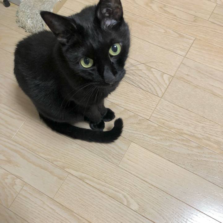 F0880af3 d75d 45de a317 9c083584ede2 1633439892782