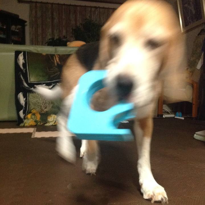 F088960b 44a4 41ba bb3a b4aa3d6ce77f 1632455400669