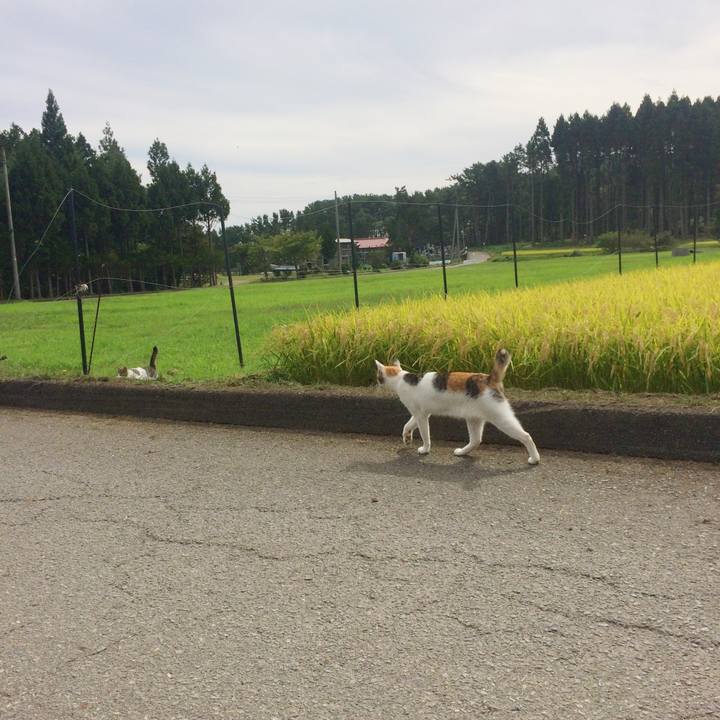 F088cfd6 52d0 45d9 87ca 6a25ddc68864 1538374935488