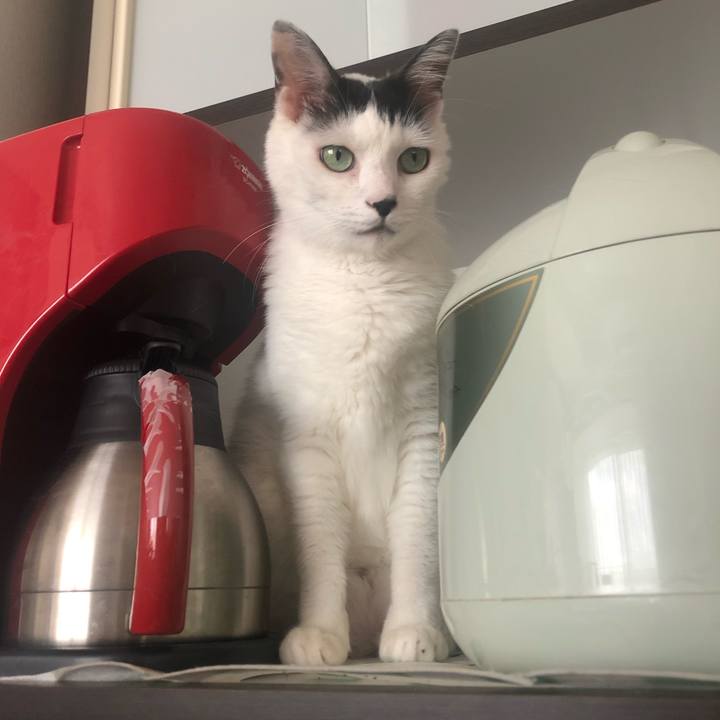 F08916a1 d4ac 4ab3 82be 230fc472bcad 1596336571829