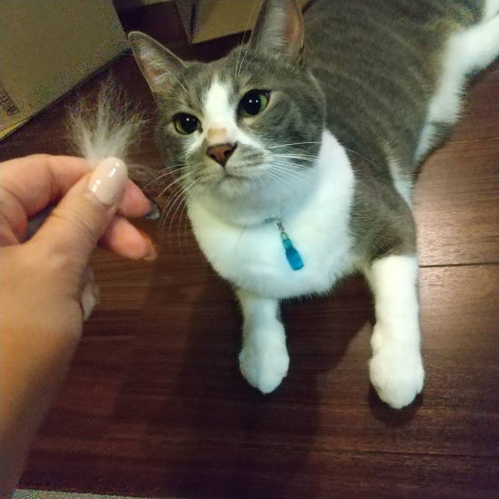 F0893456 4ebc 4c80 9c53 5dd2a98069fb 1635860803463