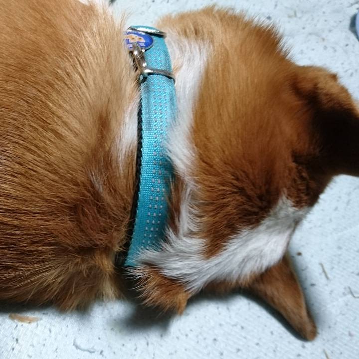 F08953ff c0aa 4ec2 bae8 06f5332c6338 1613474386300