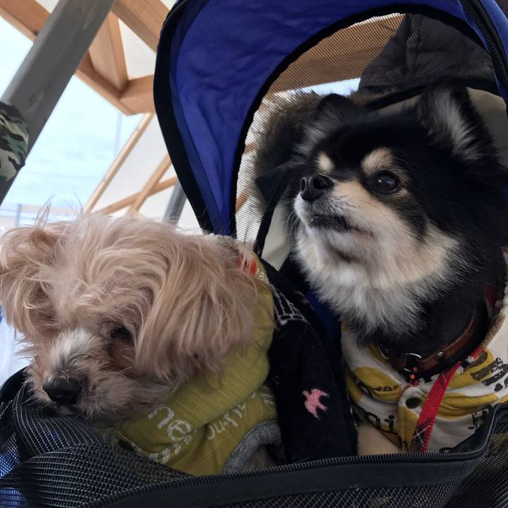 F0899bd7 7e95 49a6 b313 0aa140bac2d0 1548245419631