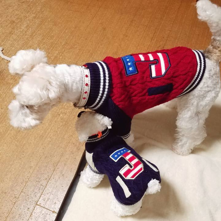 F089d94a 19a7 45da 8a77 120437fd13b1 1548338878316