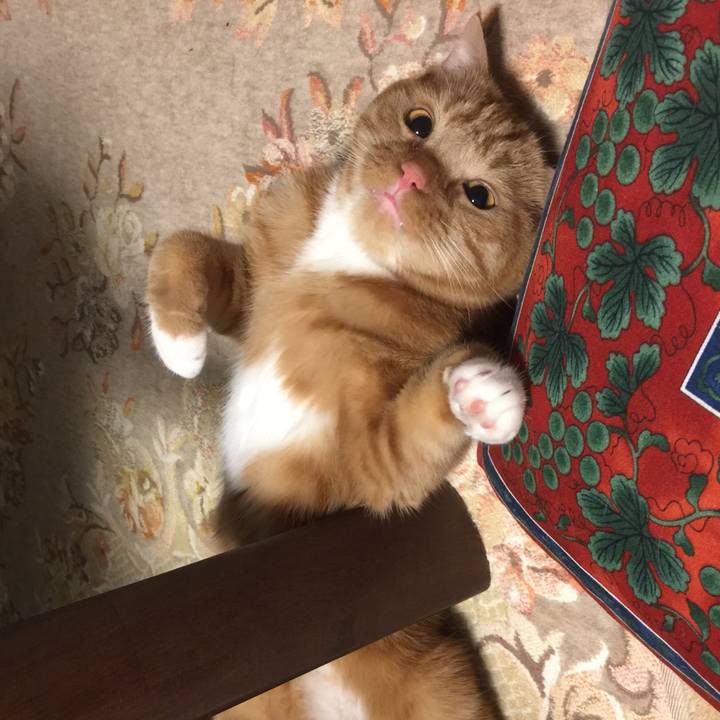 F089dd9f bb69 4d25 877f b0377fa3890c 1538226283205