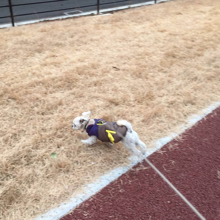 F08a076c 5220 4393 9d3f a16136fedf33 1514714008932