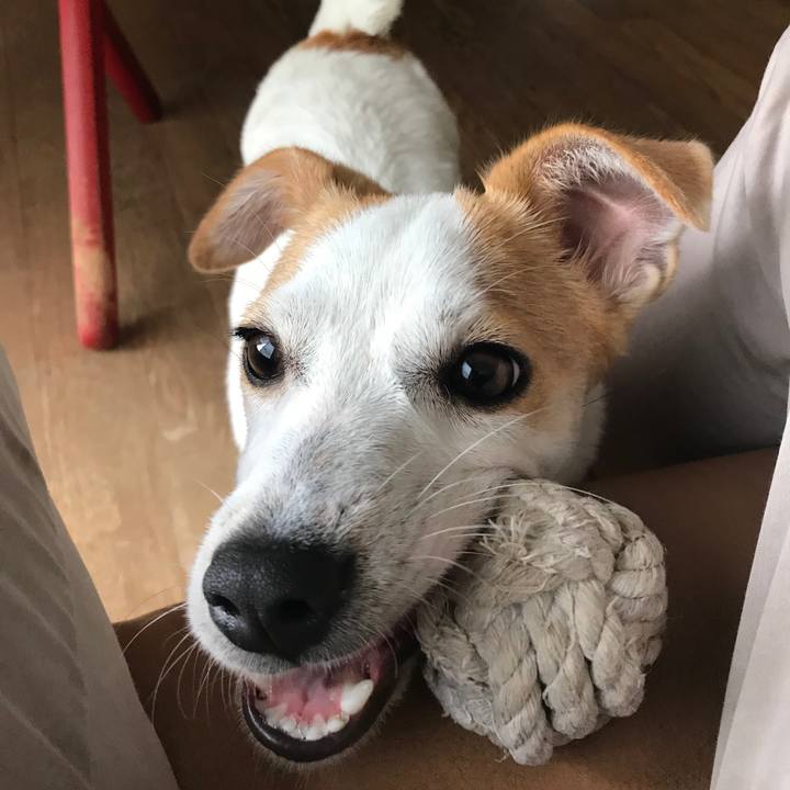 F08a3c4c 255c 478a be81 95cd7eab5f34 1560731282554